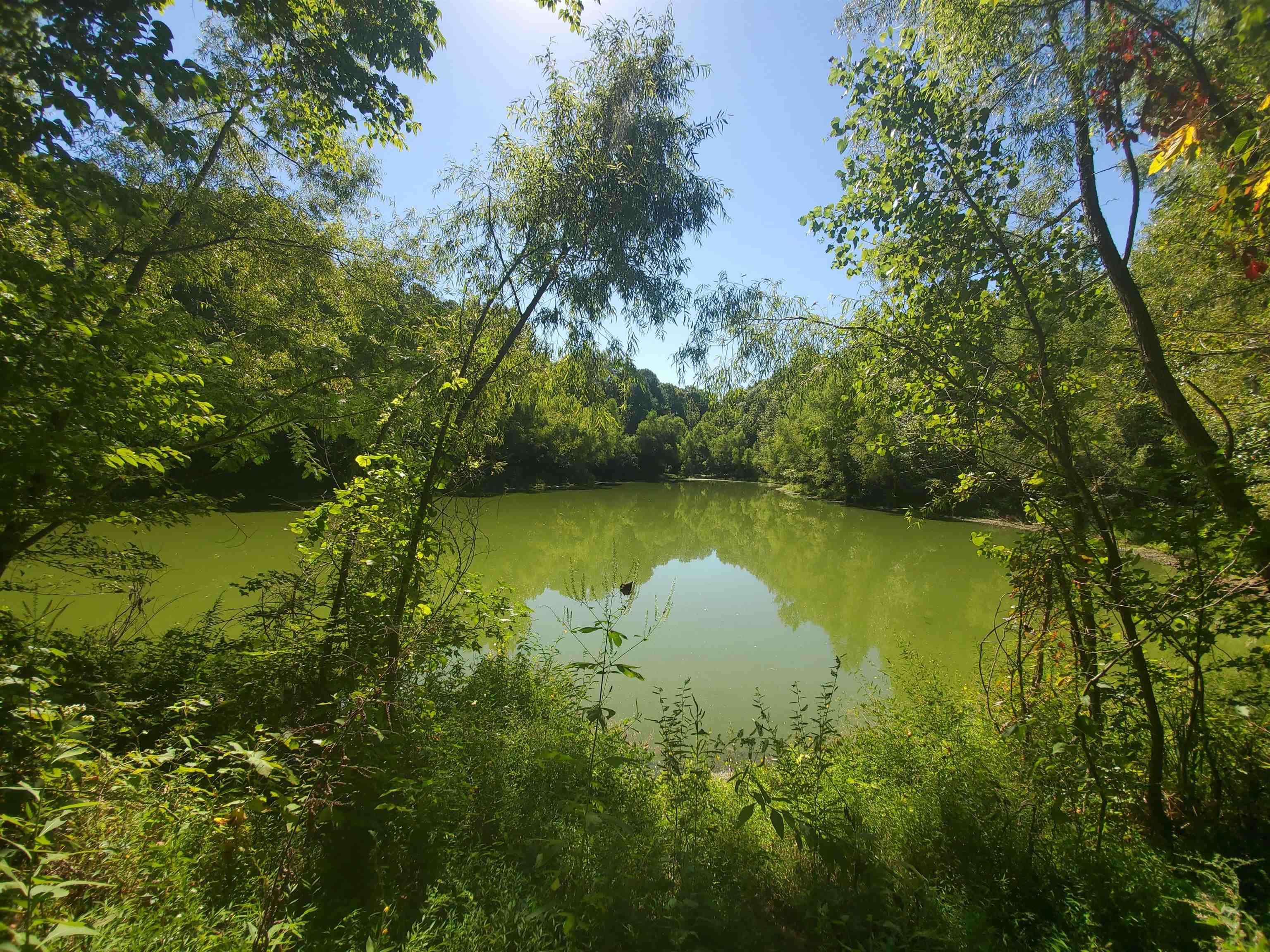 0 Bowers Road Drummonds, TN 38023 - Photo 13 of 15 a view of a lake with a yard and large trees