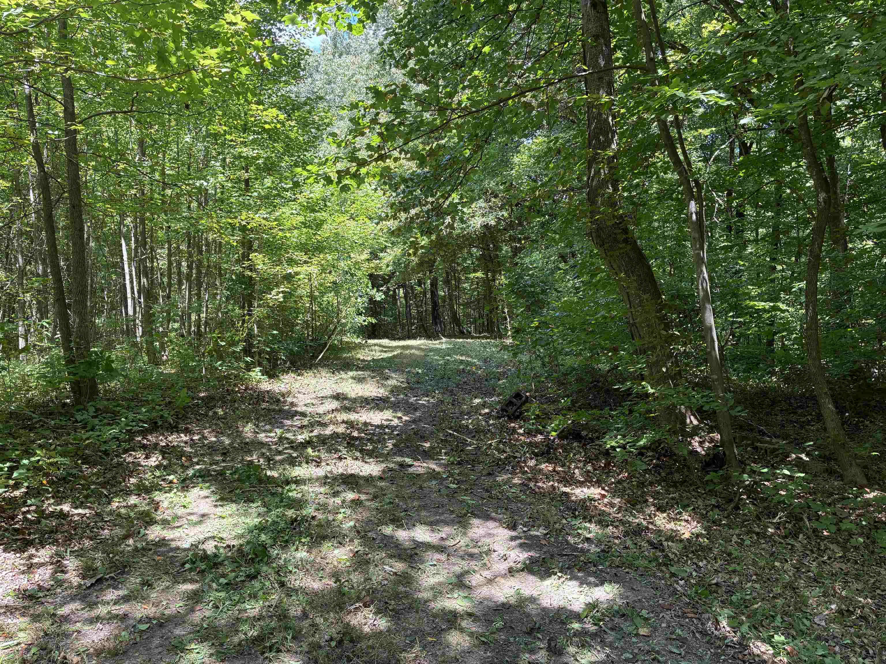 0 Bowers Road Drummonds, TN 38023 - Photo 14 of 15 a view of a forest with trees in the background