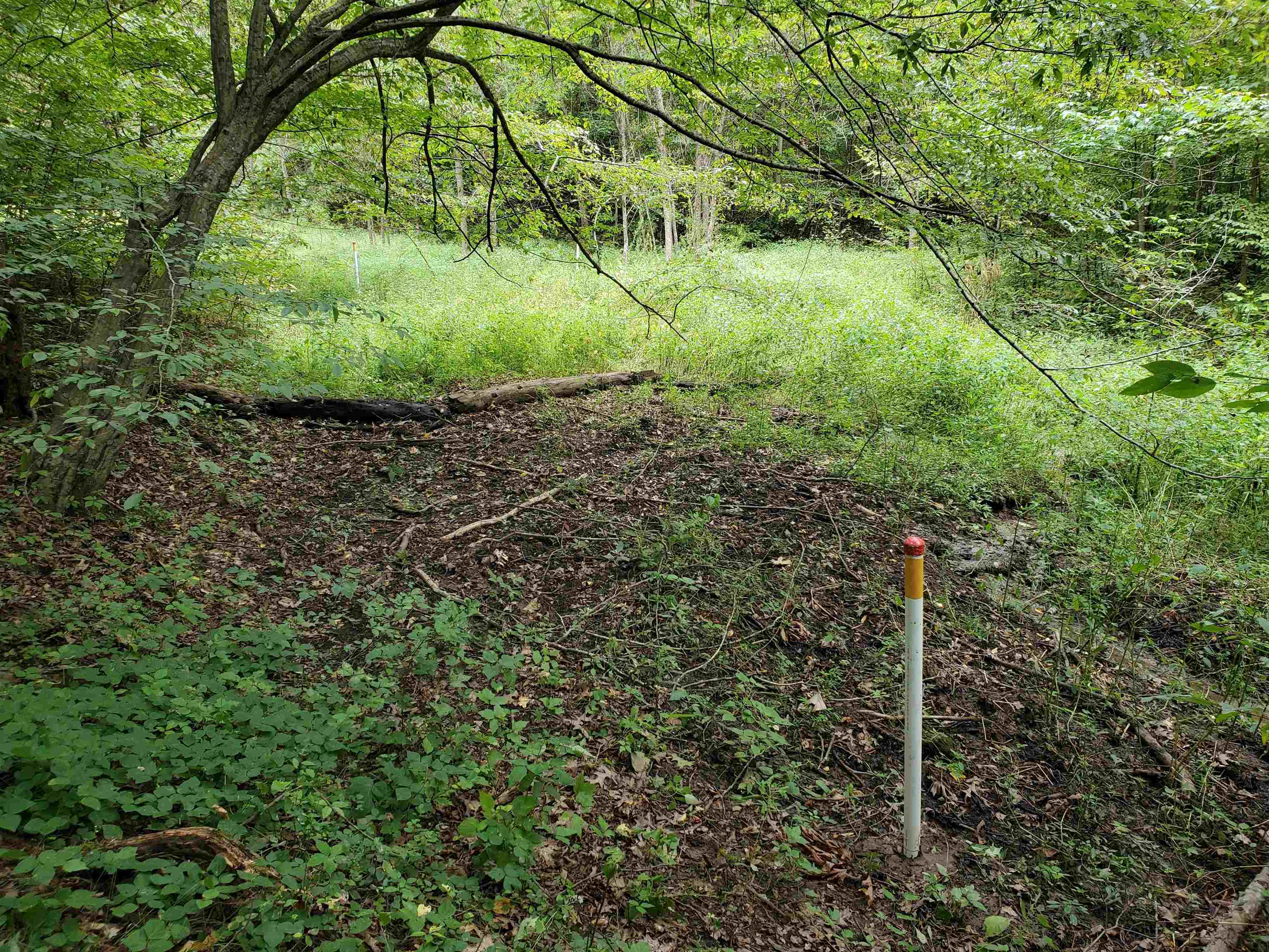 0 Bowers Road Drummonds, TN 38023 - Photo 15 of 15 a view of a garden