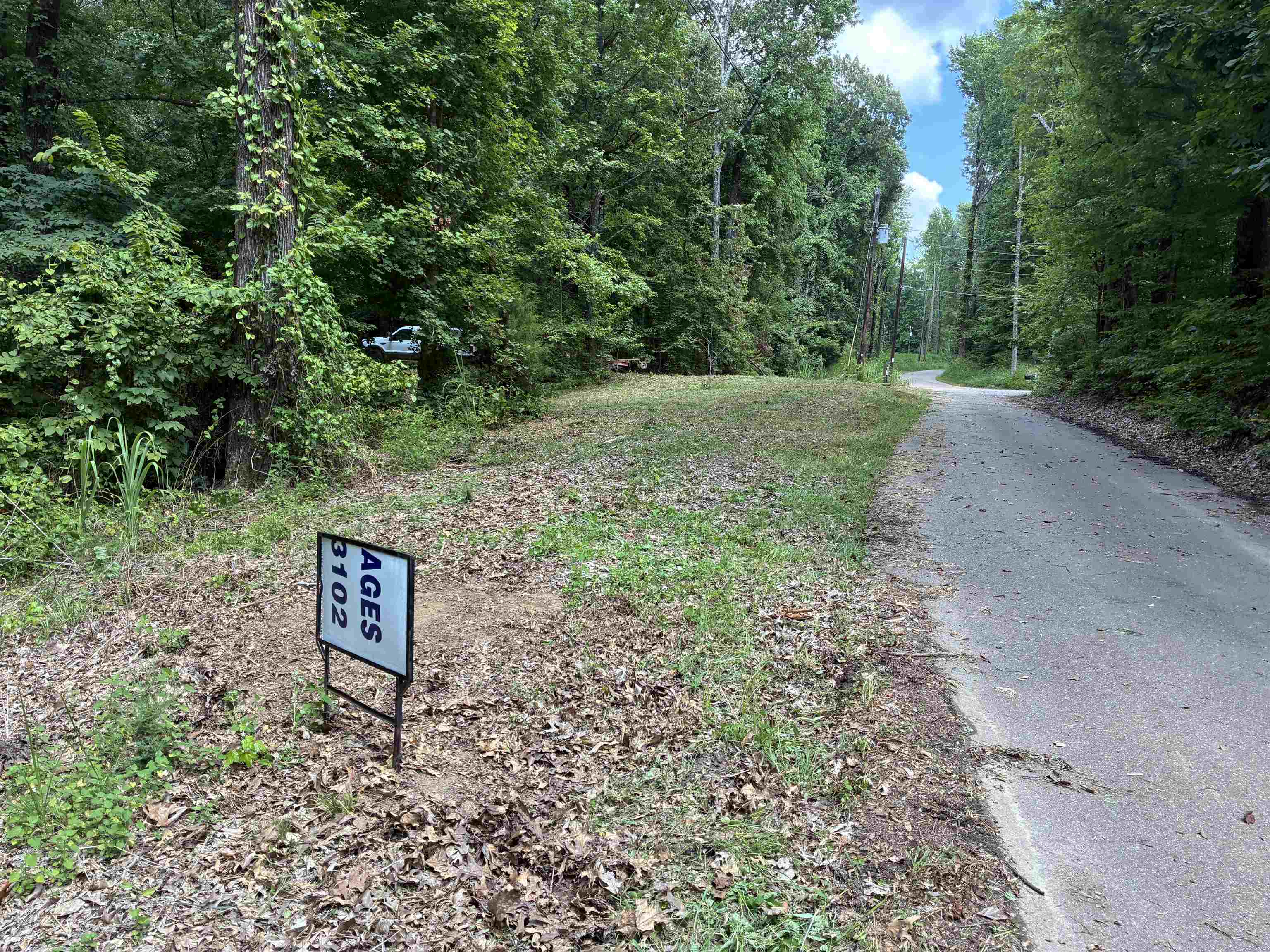 0 Bowers Road Drummonds, TN 38023 - Photo 2 of 15 a view of a park with trees and flowers
