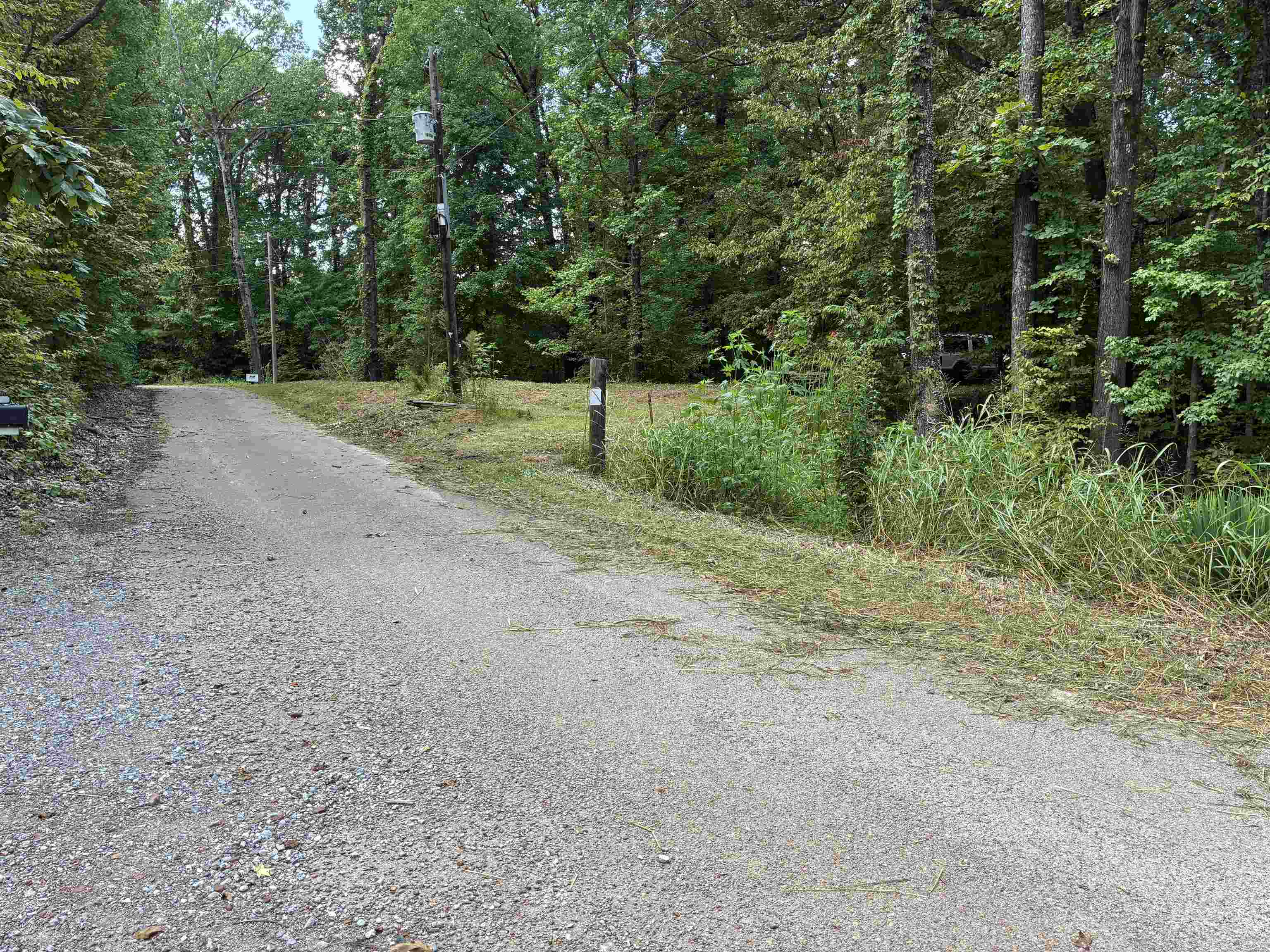 0 Bowers Road Drummonds, TN 38023 - Photo 5 of 15 a view of a field with trees in the background