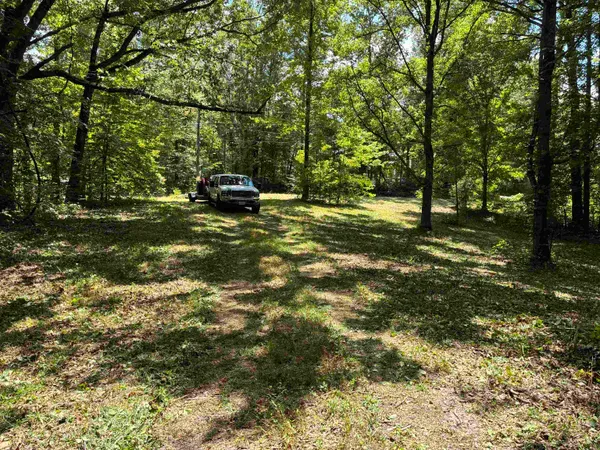 a backyard of a house with a parked car