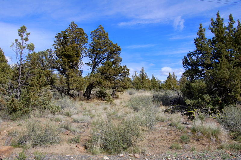 7500 Crow Road Prineville, OR 97754 - Photo 2 of 14 DSC_3599