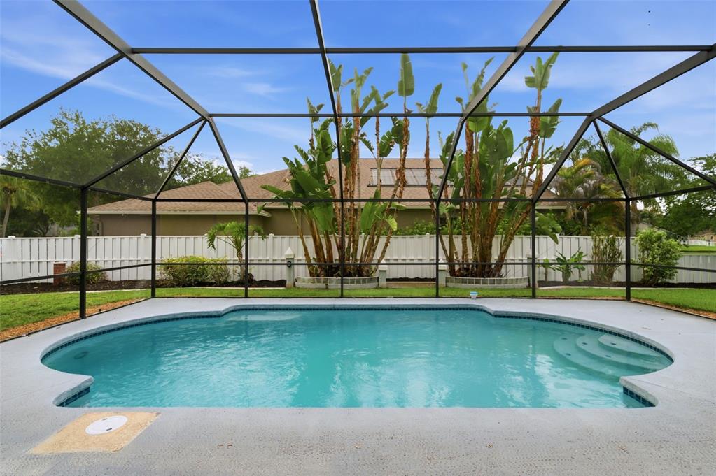 19348 Wind Dancer Street Lutz, FL 33558 - Photo 5 of 83