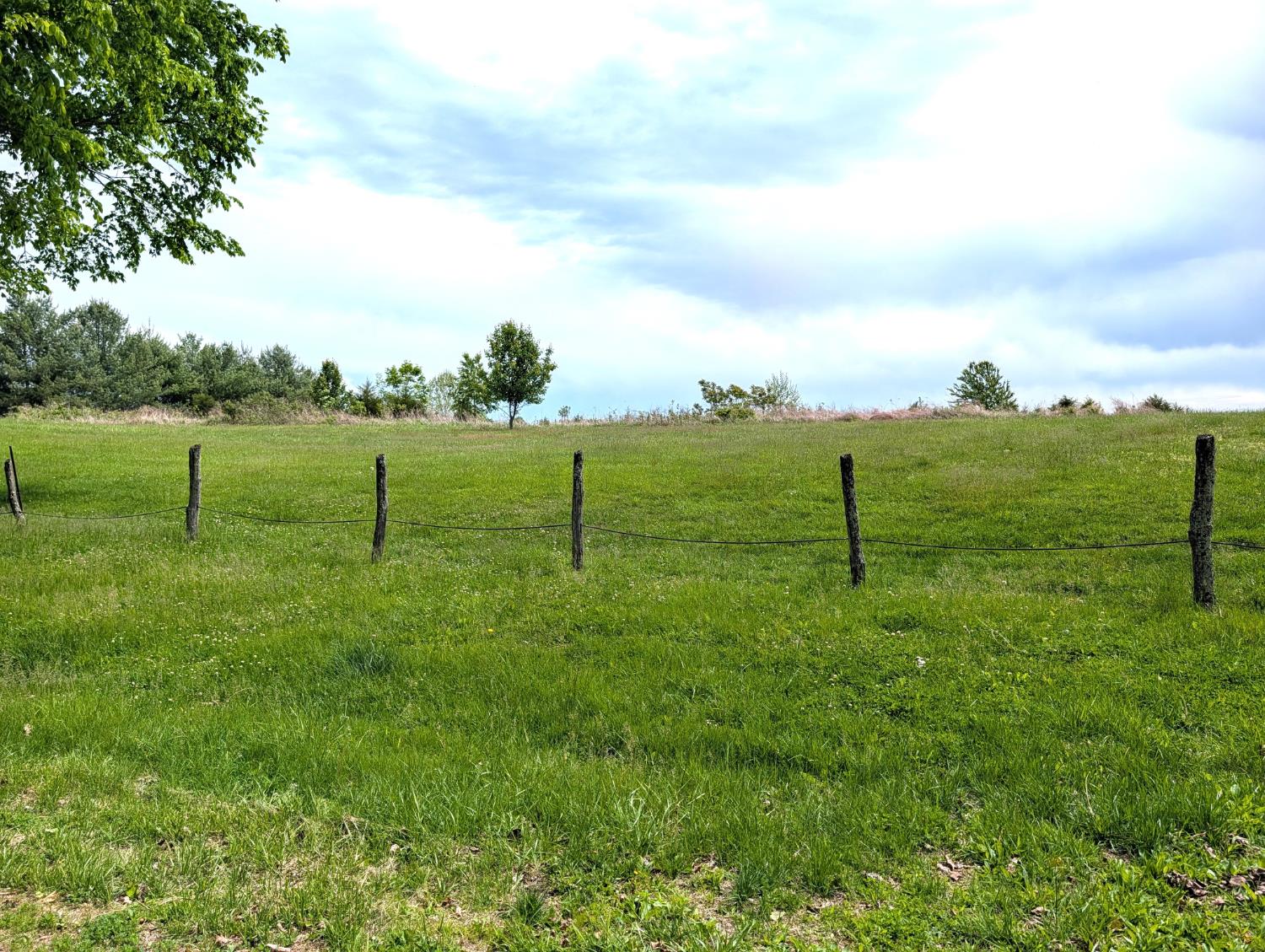 0 Longbranch Road Moores Hill, IN 47032 - Photo 9 of 25