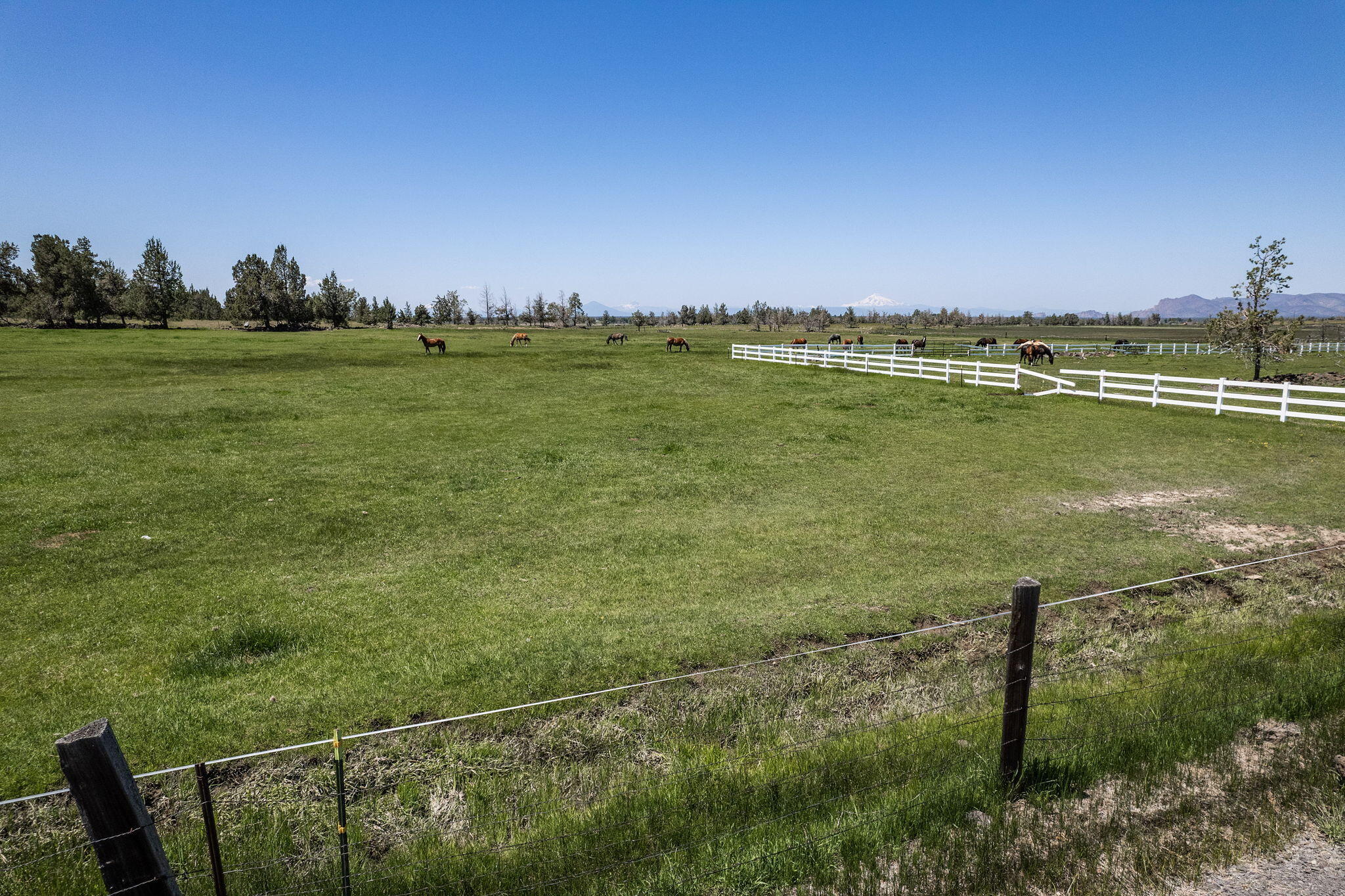 5643 Minson Road Powell Butte, OR 97753 - Photo 13 of 22 2023_06_03_5643_minson_rd_lot-11