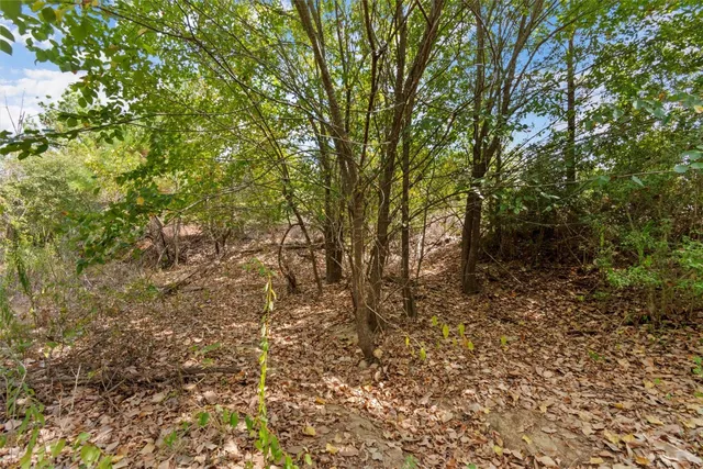 a view of a yard with a tree