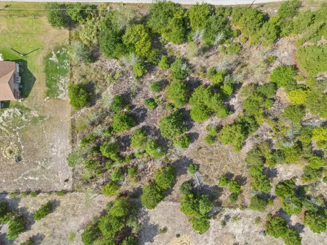 a view of a garden with a plant