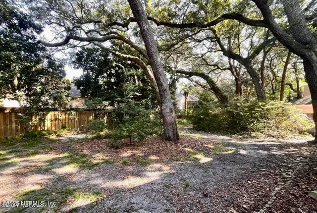 a view of backyard with green space