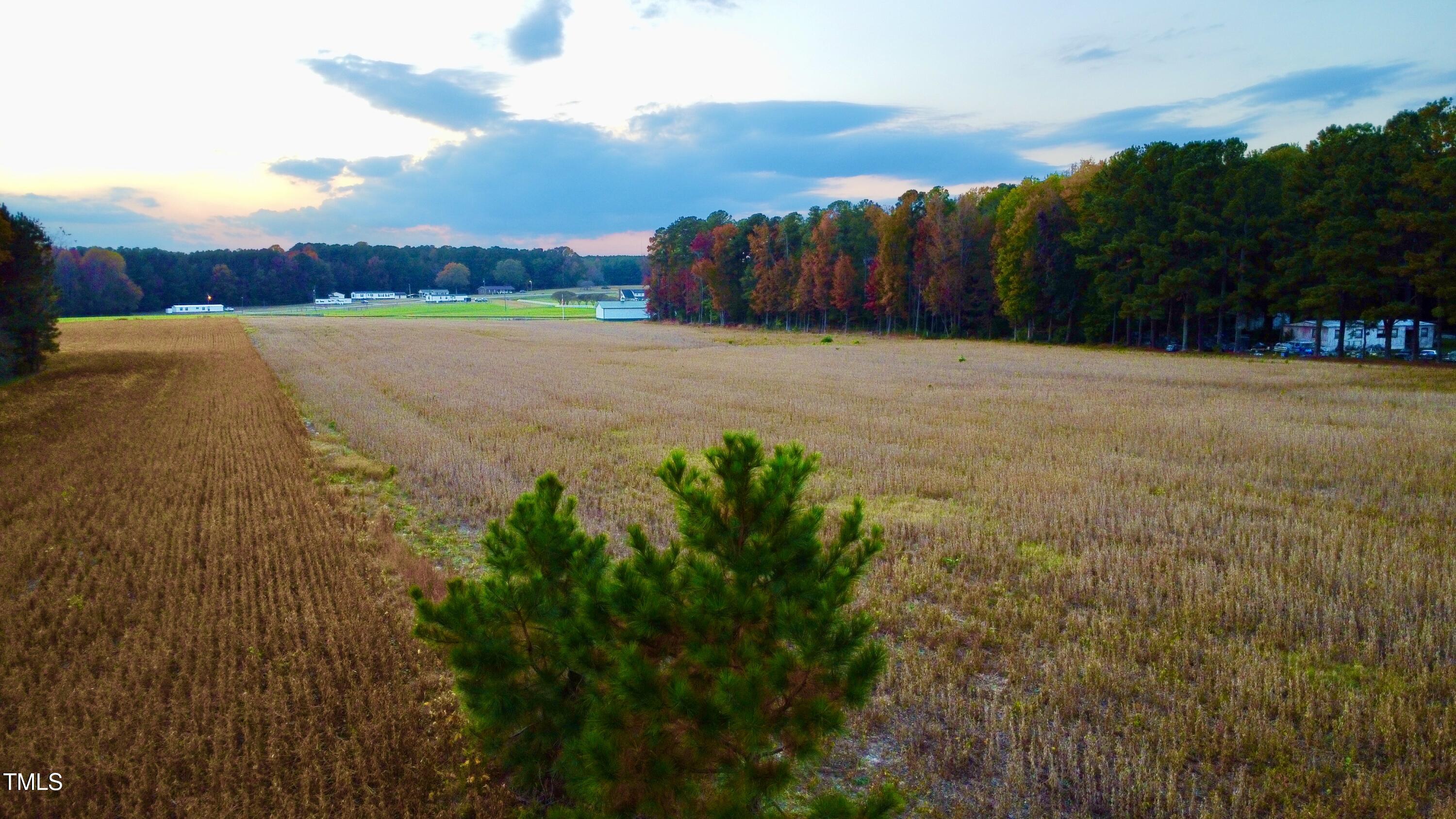 124 T T-Model Jones Road Castalia, NC 27816 - Photo 6 of 8 DJI_0086 (1)