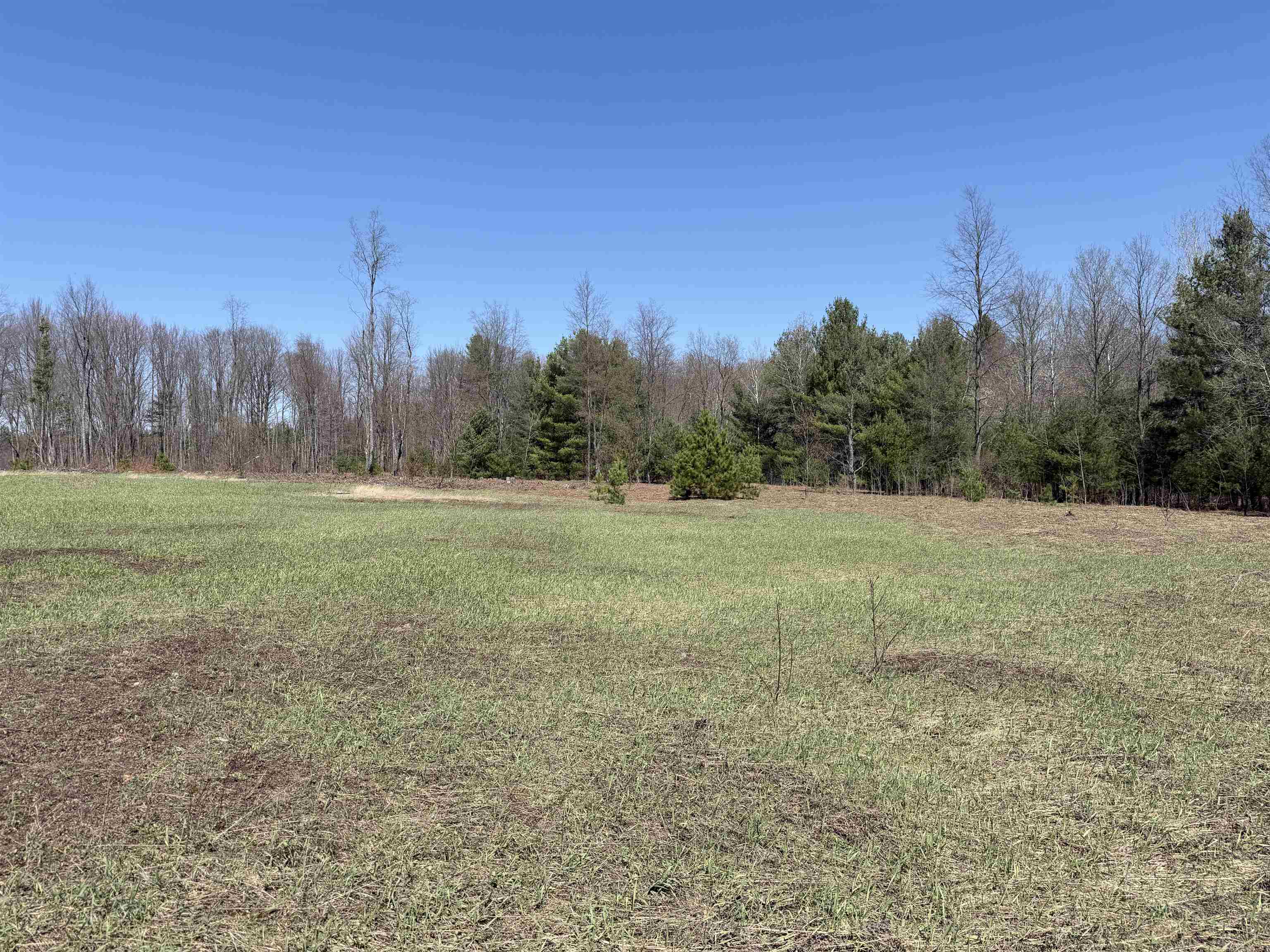 0 Landis Road Thompsonville, MI 49683 - Photo 16 of 26