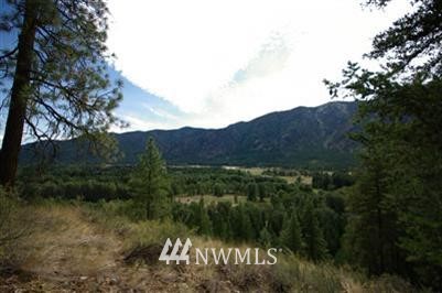 17 B Cassal Road Winthrop, WA 98862 - Photo 1 of 1 Gallery Image 1