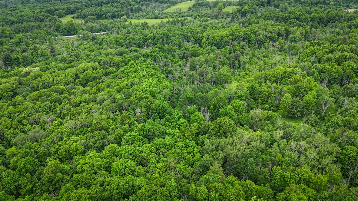 5401 Old Bath Road Barrington, NY 14837 - Photo 41 of 50