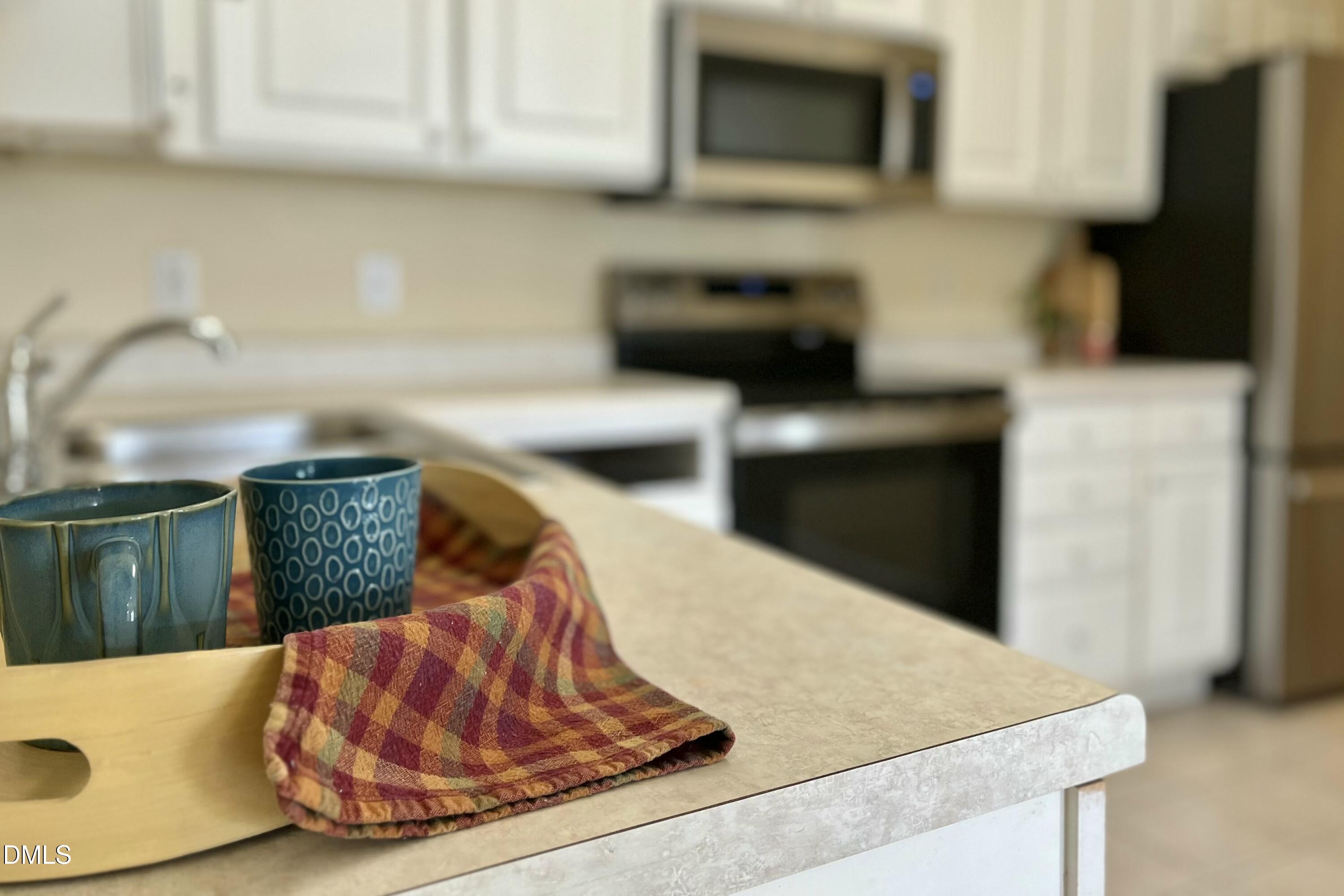 2521 Friedland Place, Unit 201 Raleigh, NC 27617 - Photo 9 of 37 Kitchen
