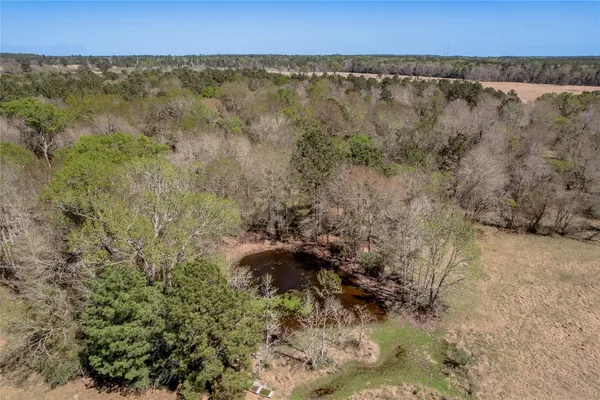 a view of a back yard