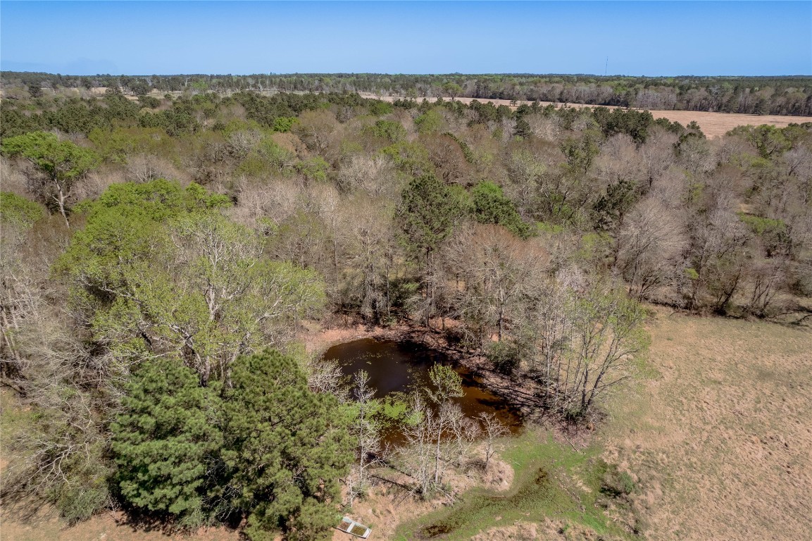 1533 Kickapoo Road Groveton, TX 75845 - Photo 36 of 50 Pond