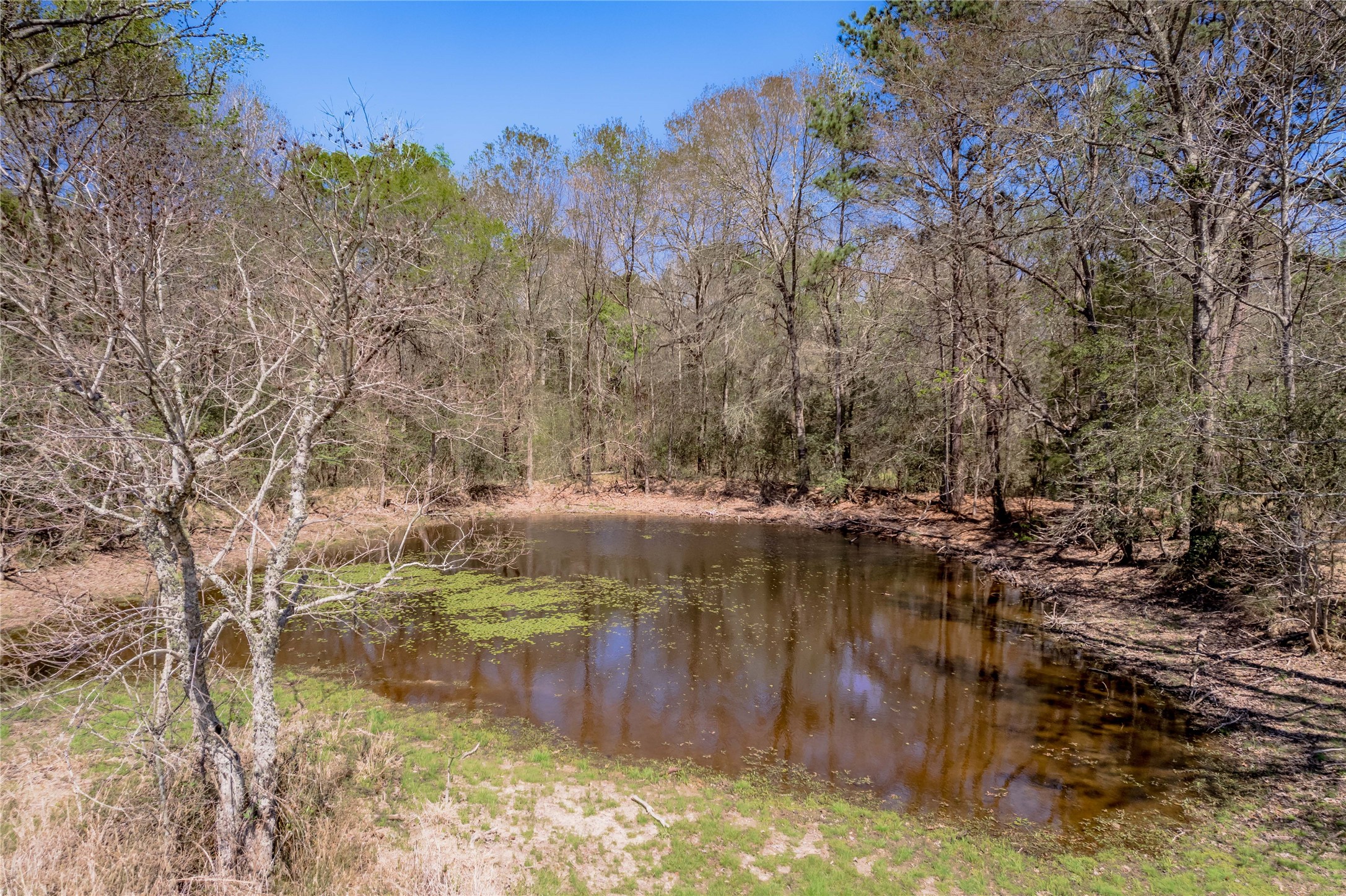 1533 Kickapoo Road Groveton, TX 75845 - Photo 38 of 50 a view of lake