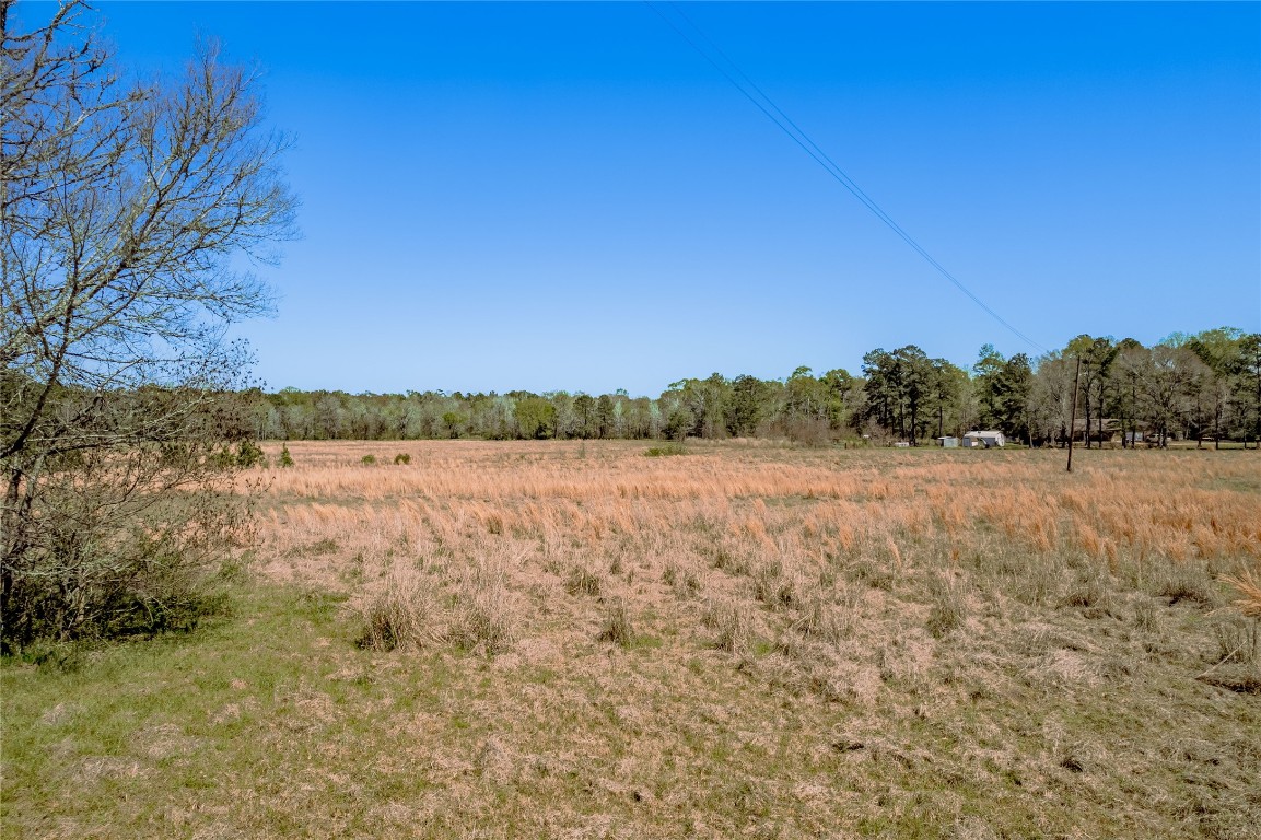 1533 Kickapoo Road Groveton, TX 75845 - Photo 40 of 50 a view of lake with mountain in the background
