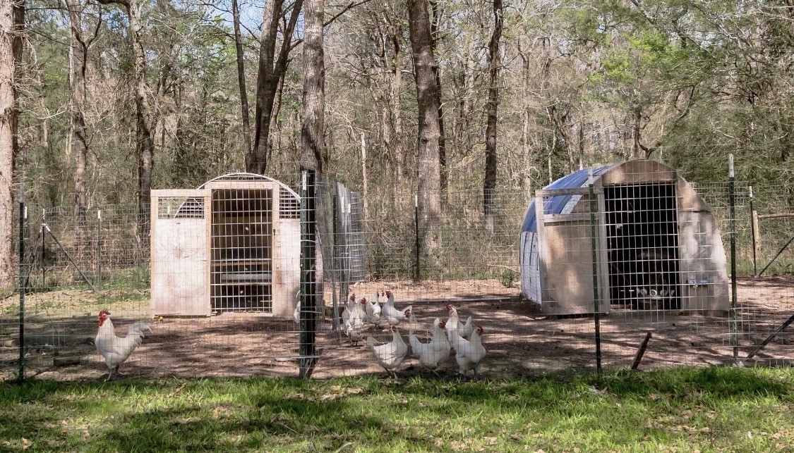 1533 Kickapoo Road Groveton, TX 75845 - Photo 41 of 50