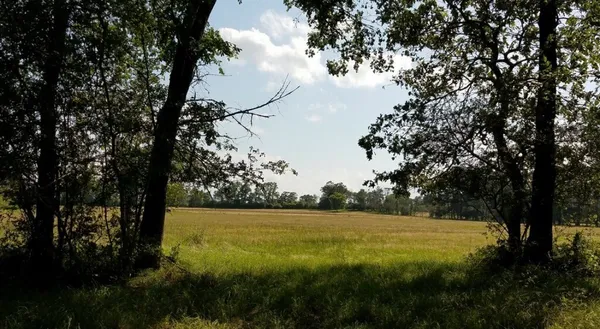 $635,000 | 1533 Kickapoo Road, Groveton, TX 75845
