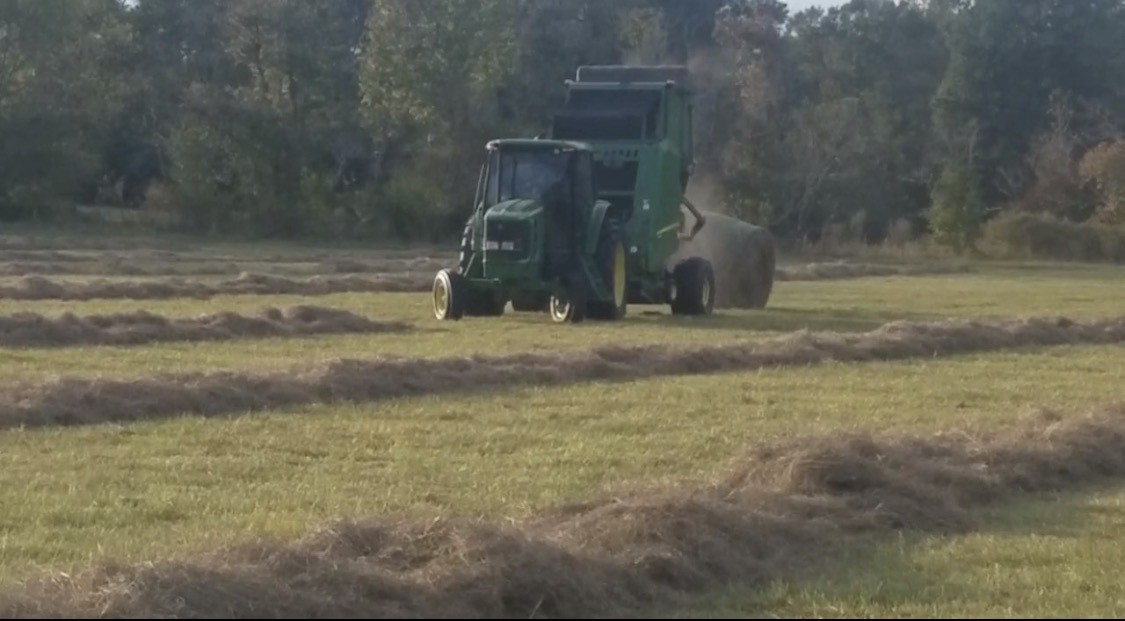 1533 Kickapoo Road Groveton, TX 75845 - Photo 50 of 50