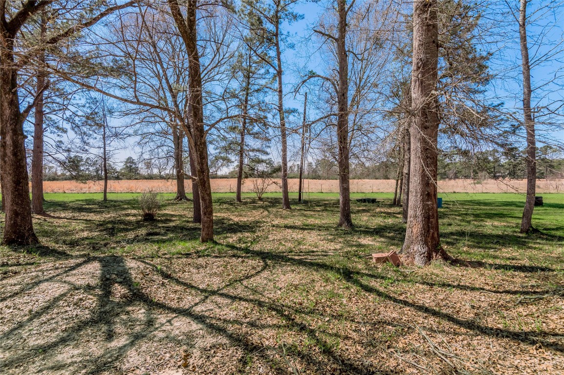 1533 Kickapoo Road Groveton, TX 75845 - Photo 6 of 50 a view of yard with tree