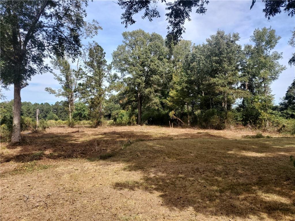 476 Elmer Road Elmer, LA 71424 - Photo 15 of 47 Gallery Image 15