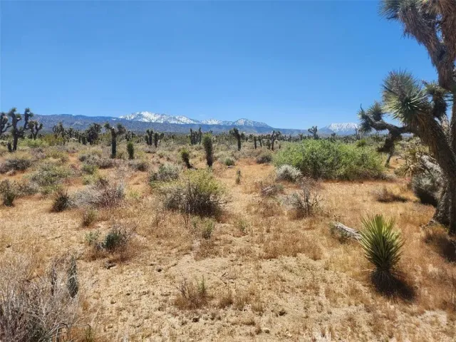 a view of a large building with a mountain in the background
