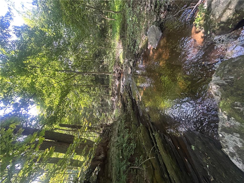 7 Allegheny Road Mount Bethel, PA 18343 - Photo 23 of 71 A tranquil flowing creek meanders through a dense forest on the property.