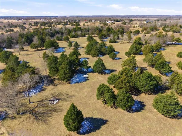 a huge green field with lots of trees