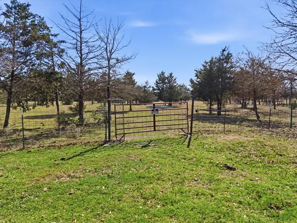 a view of a garden with an trees