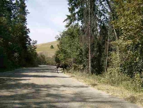 Xx East Temple Road Spokane, WA 99217 - Photo 3 of 11