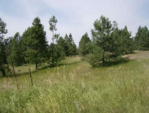 Xx East Temple Road Spokane, WA 99217 - Photo 4 of 11