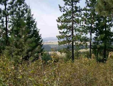 Xx East Temple Road Spokane, WA 99217 - Photo 5 of 11