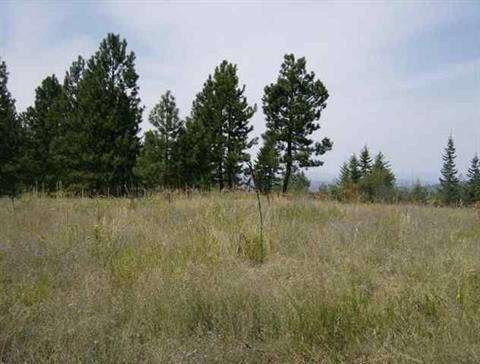 Xx East Temple Road Spokane, WA 99217 - Photo 6 of 11