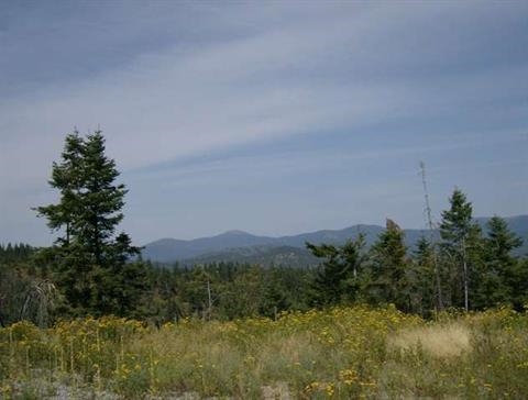 Xx East Temple Road Spokane, WA 99217 - Photo 8 of 11