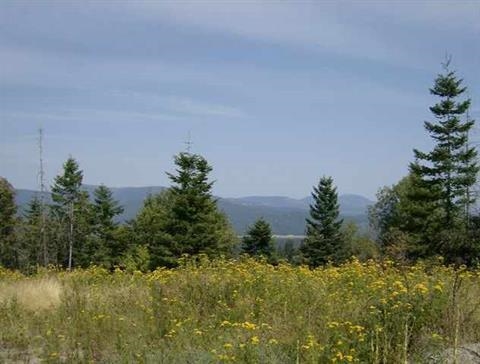 Xx East Temple Road Spokane, WA 99217 - Photo 10 of 11