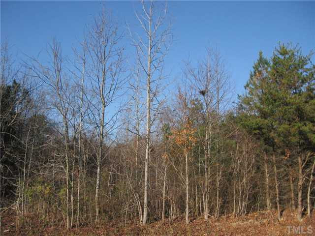 Wheelers Church Road Cedar Grove, NC 27231 - Photo 3 of 4 Photo 3