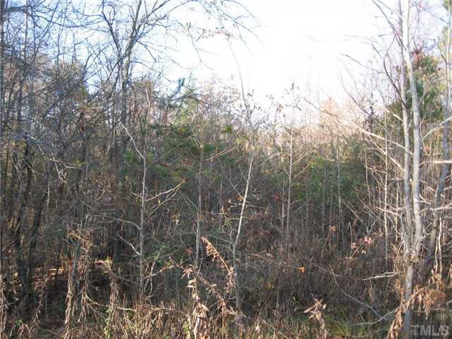 Wheelers Church Road Cedar Grove, NC 27231 - Photo 4 of 4 Photo 4