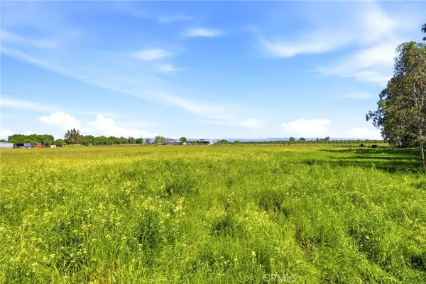 $575,000 | 24065 Maria Avenue, Corning, CA 96021