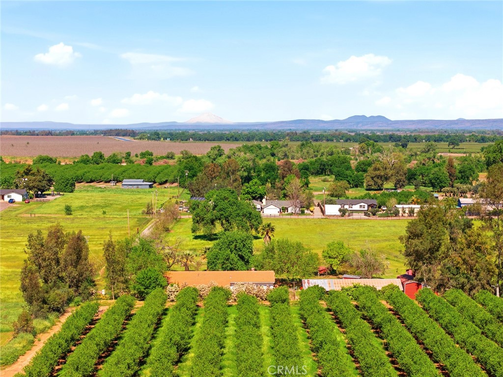 24065 Maria Avenue Corning, CA 96021 - Photo 38 of 40