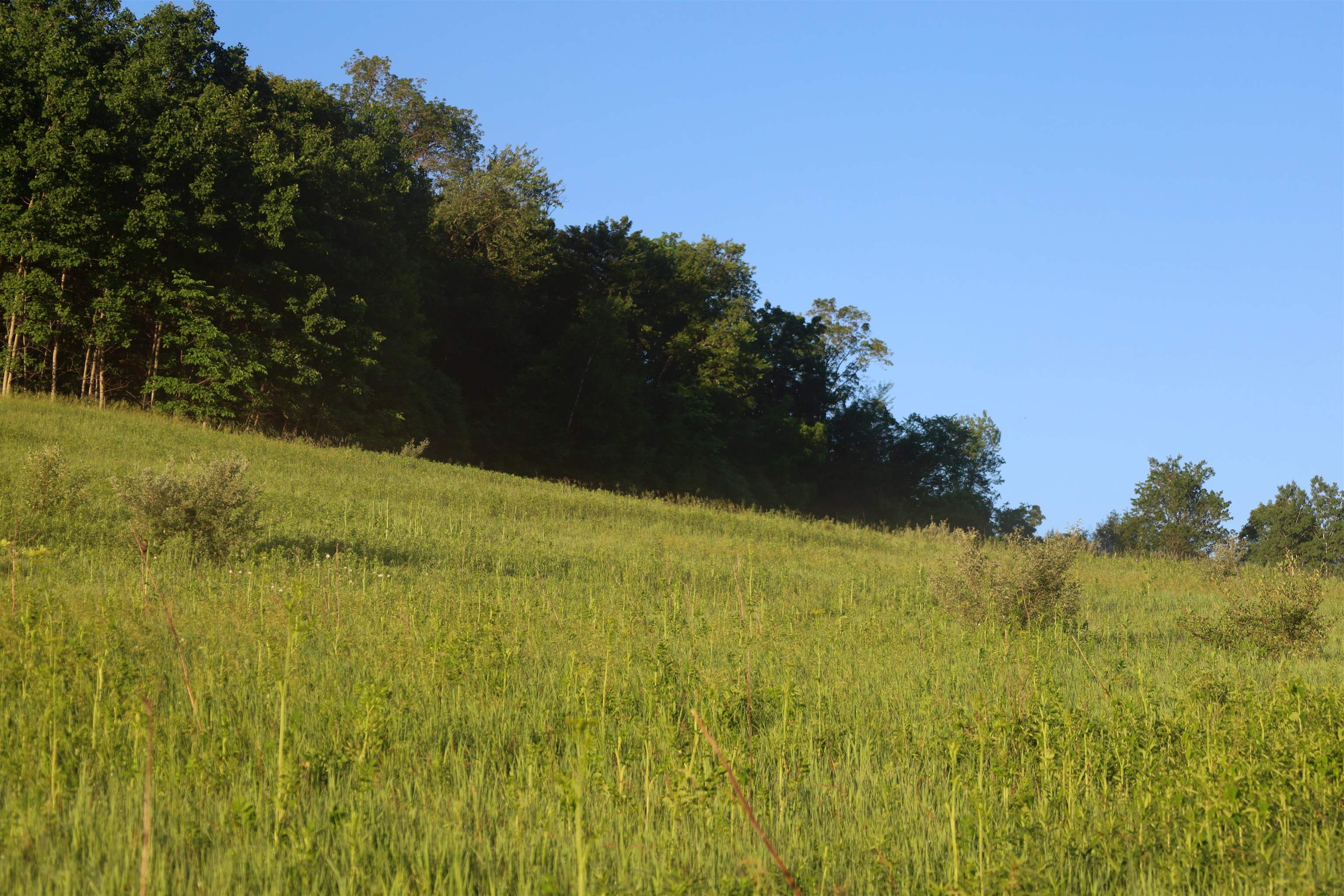 Tbd Wheat Hollow Road Cazenovia, WI 53924 - Photo 29 of 42