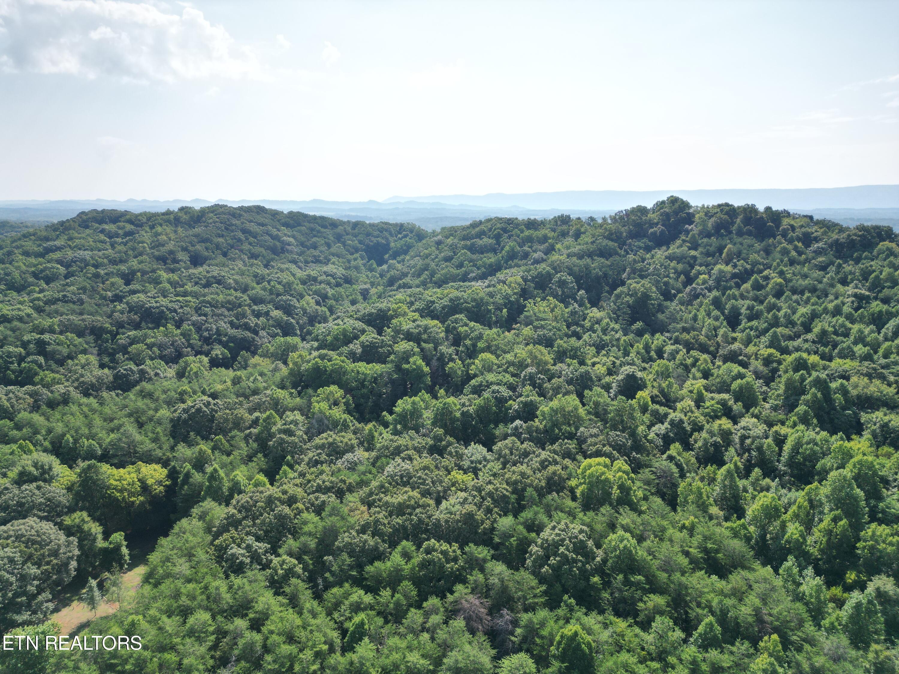 655 County Road 655 Road Athens, TN 37303 - Photo 5 of 10 DJI_0249
