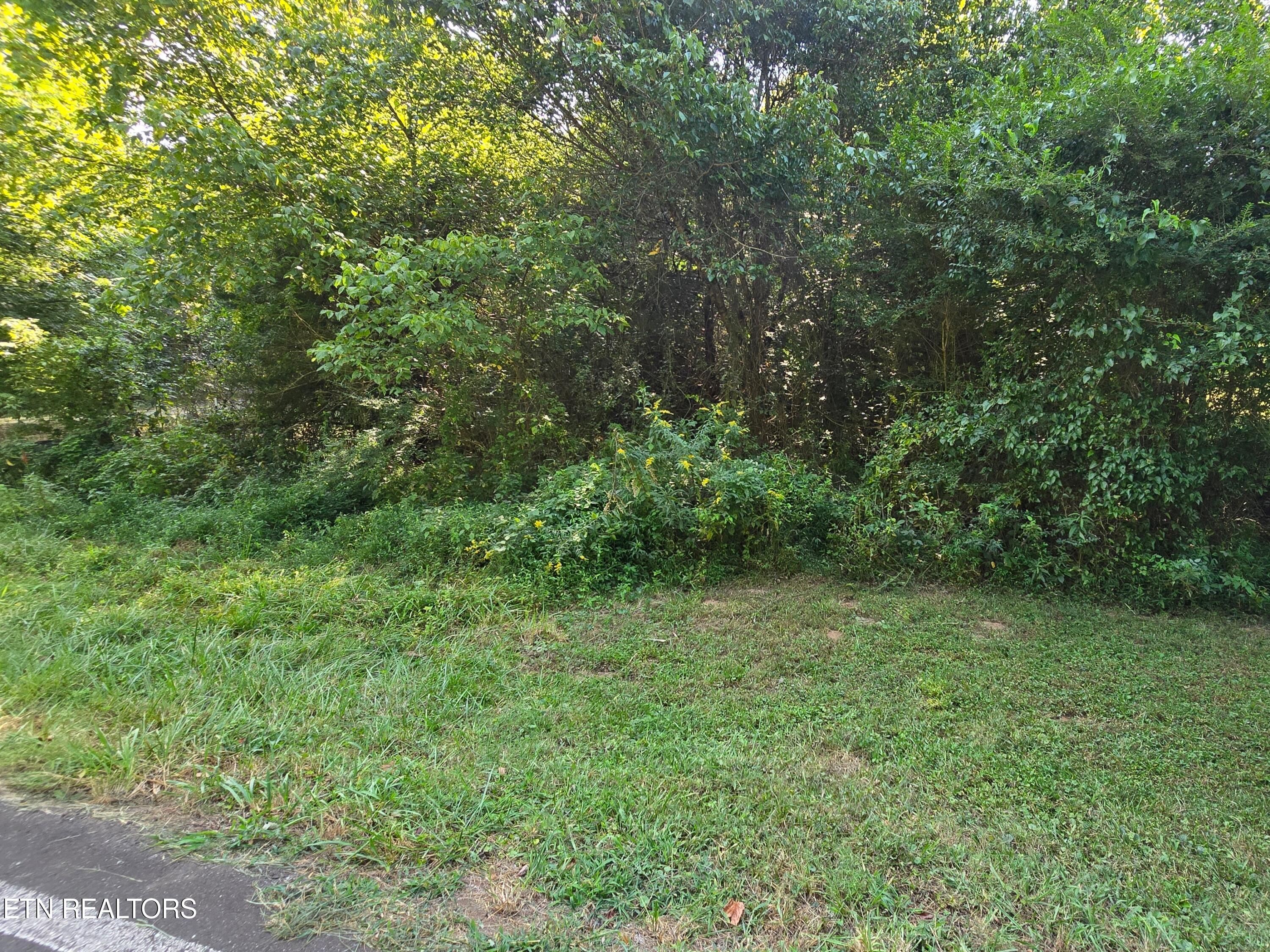 655 County Road 655 Road Athens, TN 37303 - Photo 8 of 10 20240822_101927