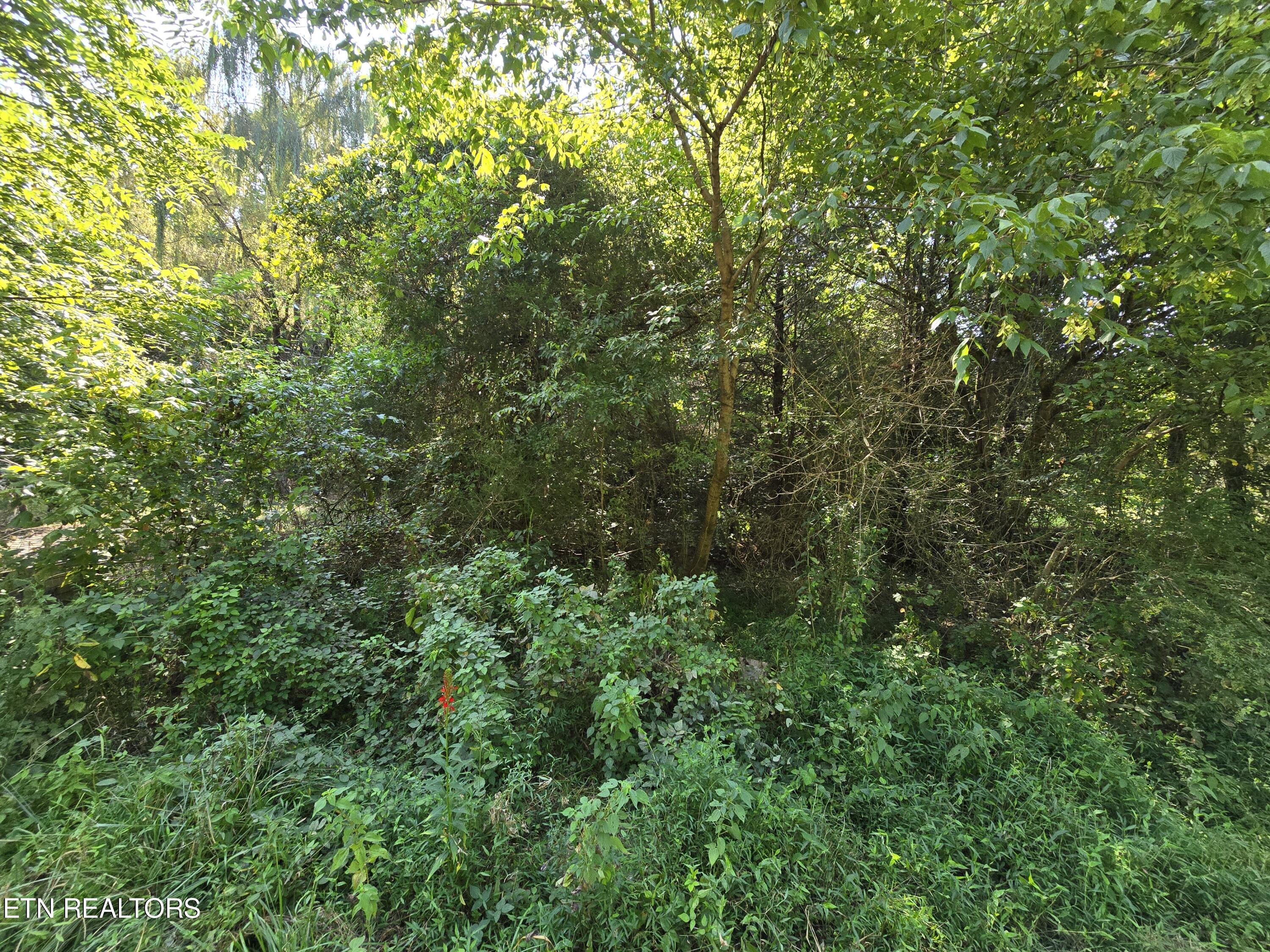 655 County Road 655 Road Athens, TN 37303 - Photo 10 of 10 20240822_104551