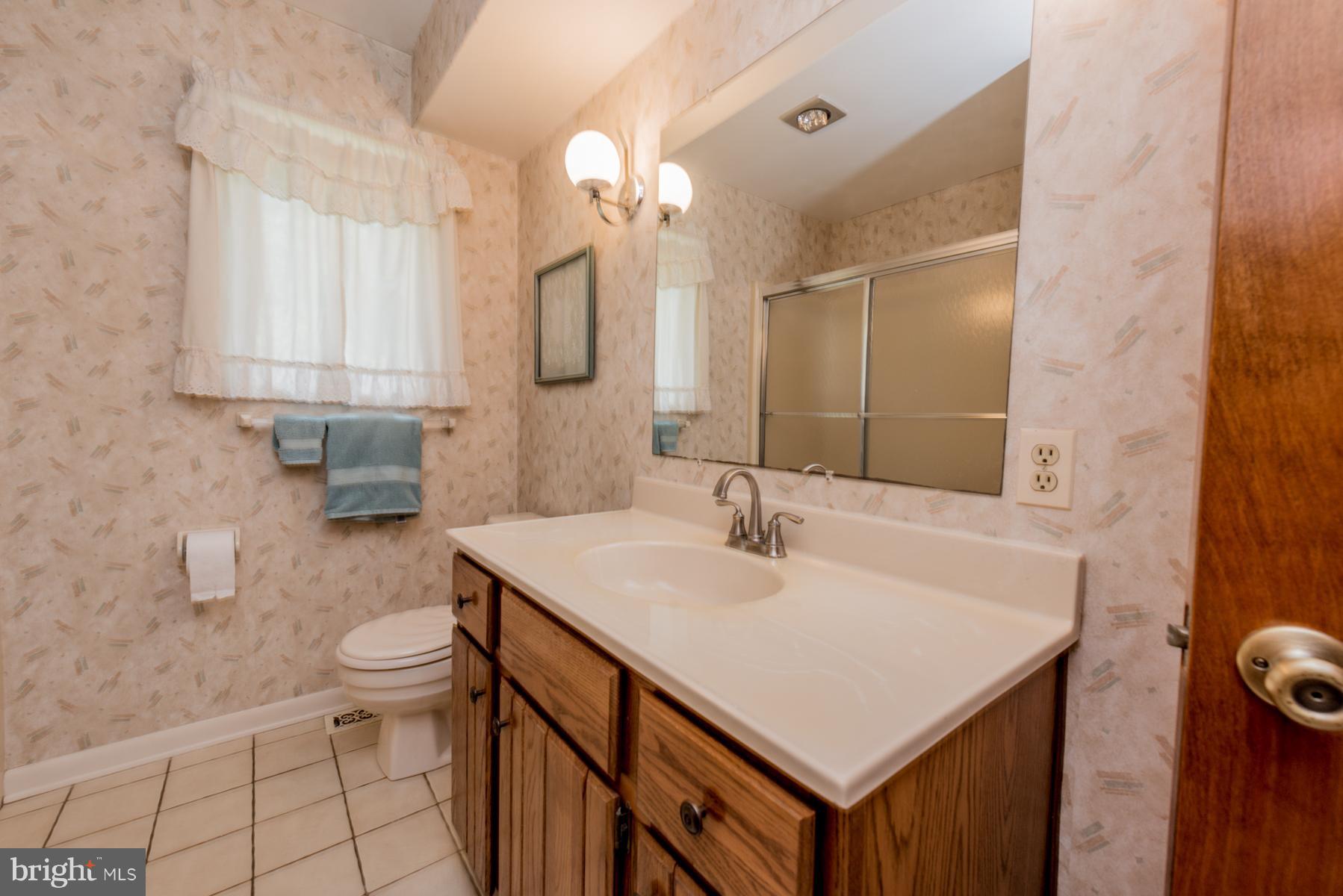 4414 Salem Bottom Road Westminster, MD 21157 - Photo 13 of 30 a bathroom with a sink a toilet and a mirror