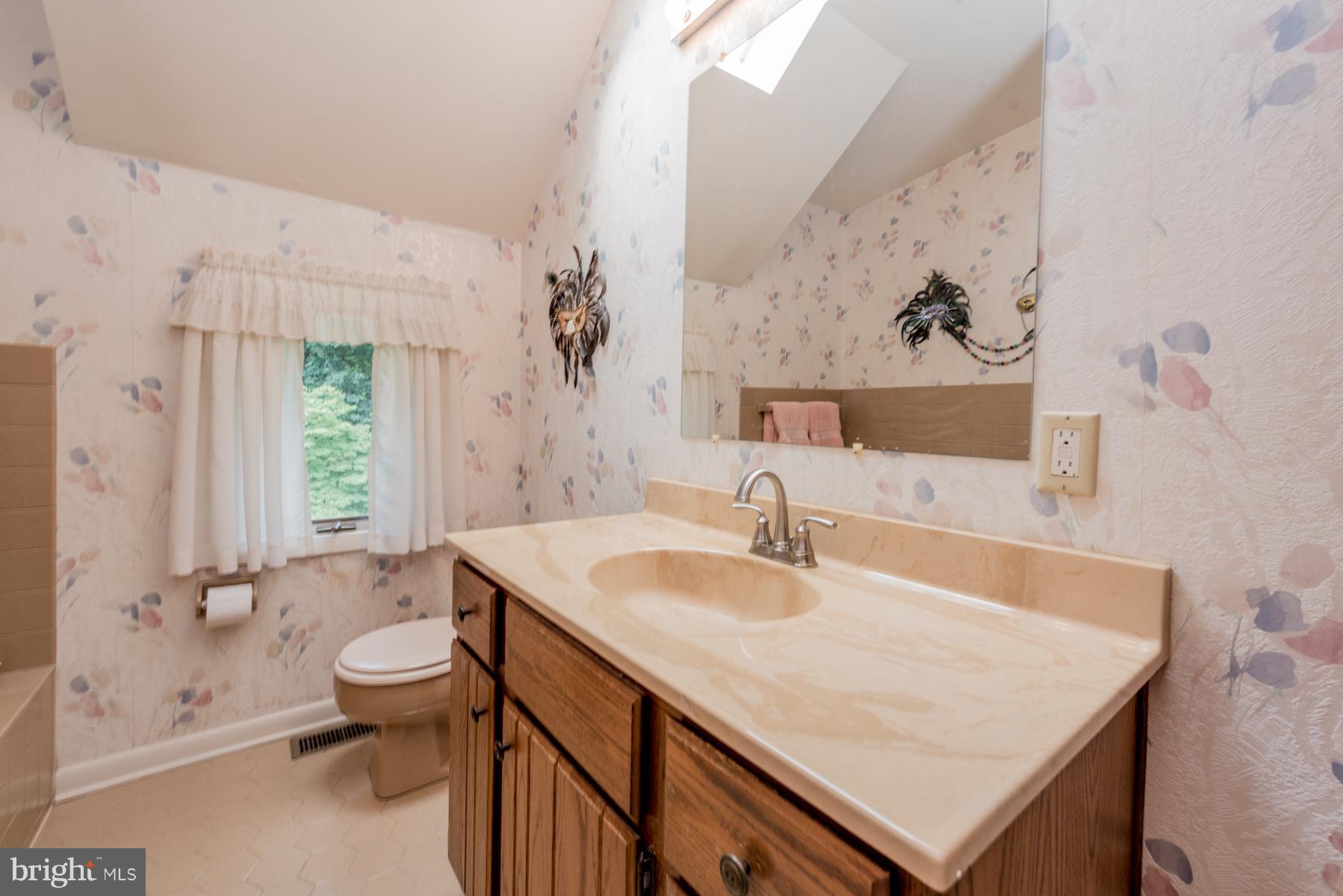 4414 Salem Bottom Road Westminster, MD 21157 - Photo 17 of 30 a bathroom with a sink a toilet and a bathtub