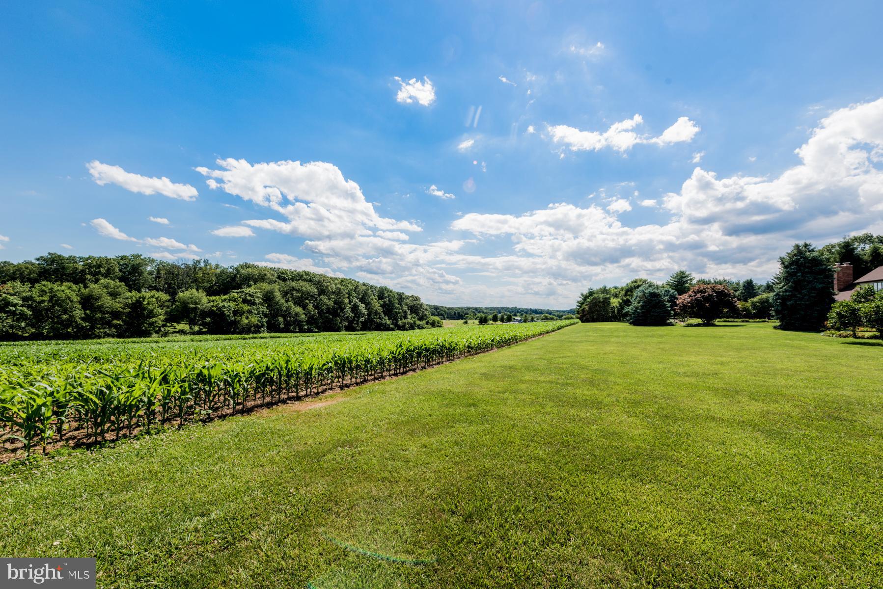 4414 Salem Bottom Road Westminster, MD 21157 - Photo 29 of 30 a view of a big yard with large trees