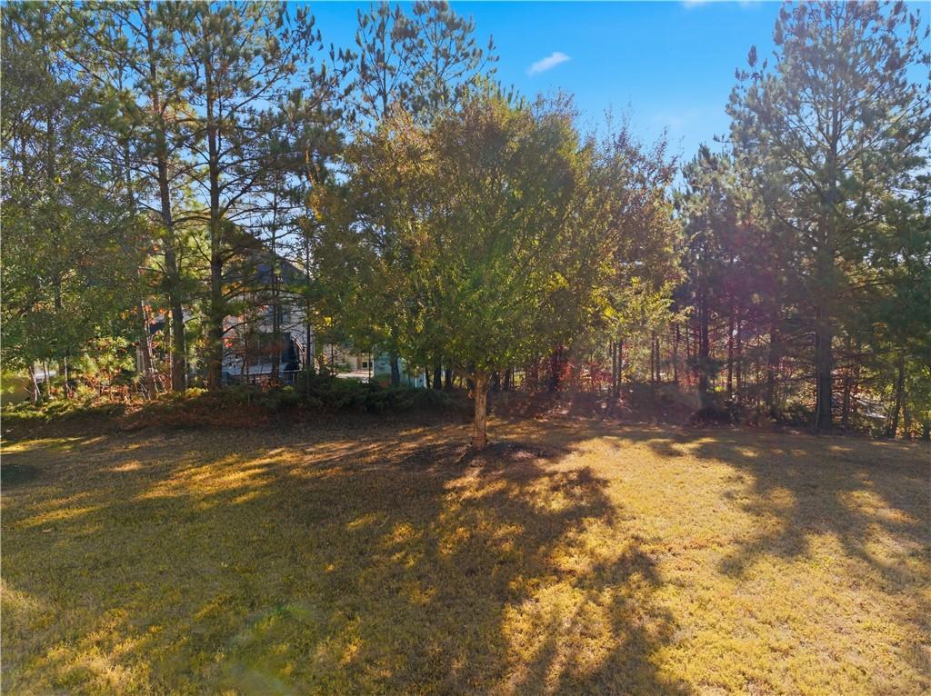 1719 Cromwell Lane Lithia Springs, GA 30122 - Photo 46 of 56