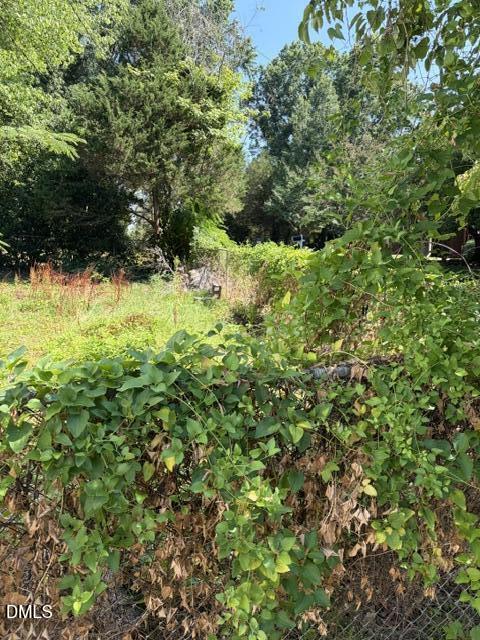 507 Strother Road Raleigh, NC 27606 - Photo 11 of 11 yard